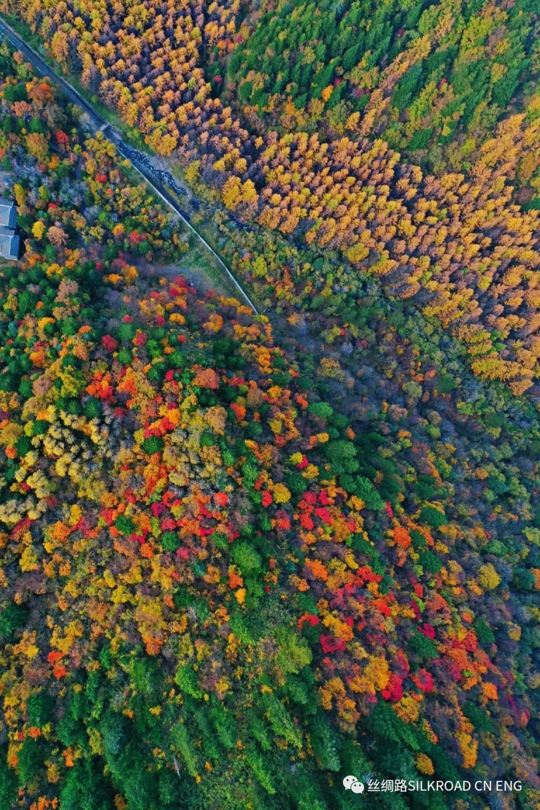 羊茸哈德藏寨攻略,羊茸哈德中国最美藏寨门票特价