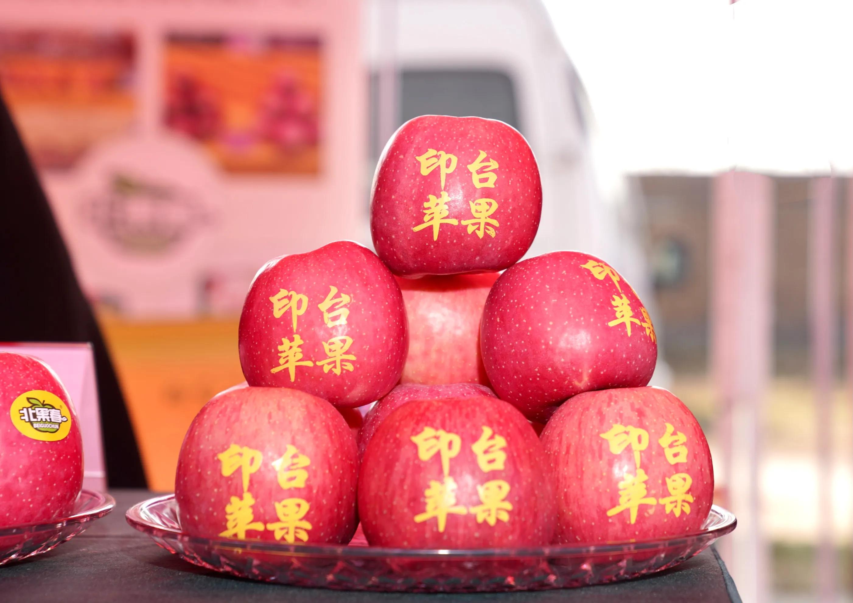 一品苹果·唯美印台,陕西果业产区行走进铜川印台区苹果优生区