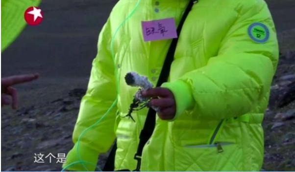 法治热点早知道女大学生遭性侵 (网传男子直播间性侵初一女生)