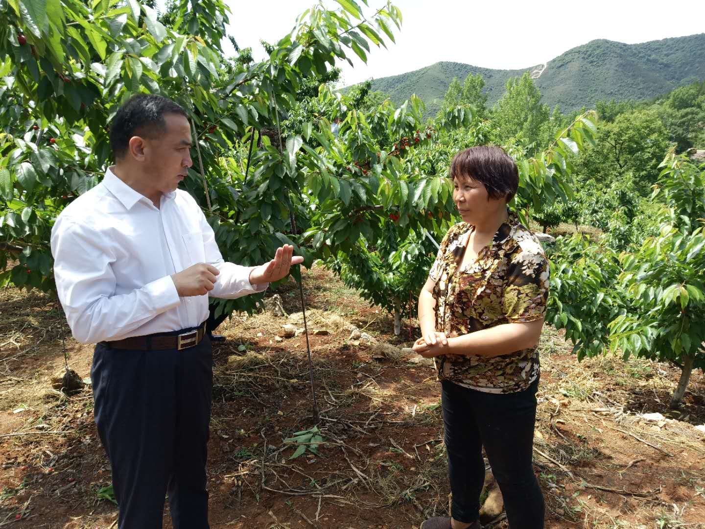 桃溪镇红色教育基地,内乡红色教育基地