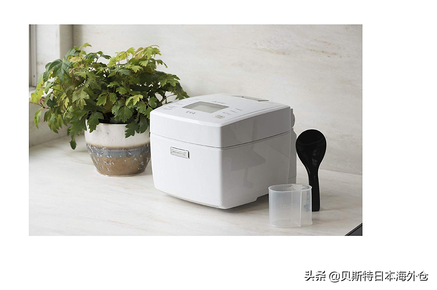 如何选择日本电饭锅品牌,日本哪种电饭锅好用又实惠