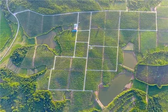 品牌故事康师傅,品牌故事冠生园