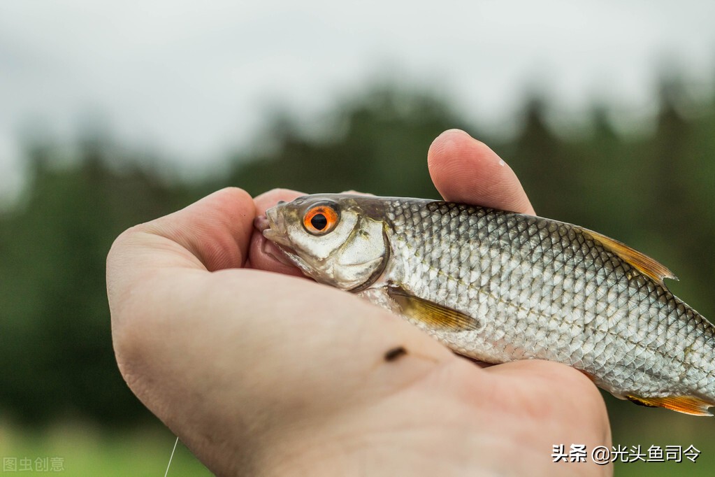 钓鱼《办法》试行:9种方式禁止使用,钓鱼人要依法钓鱼