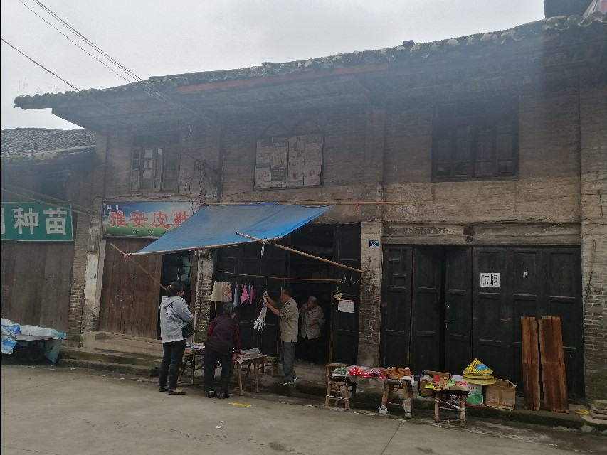 【走马观花乐山周边乡镇】苏稽镇