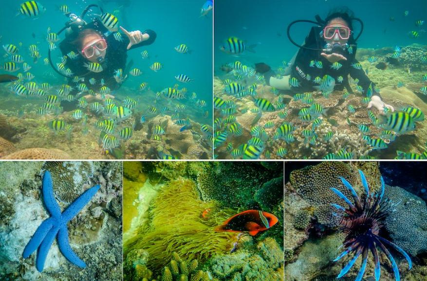 比普吉岛少的岛,比巴厘岛好玩的岛