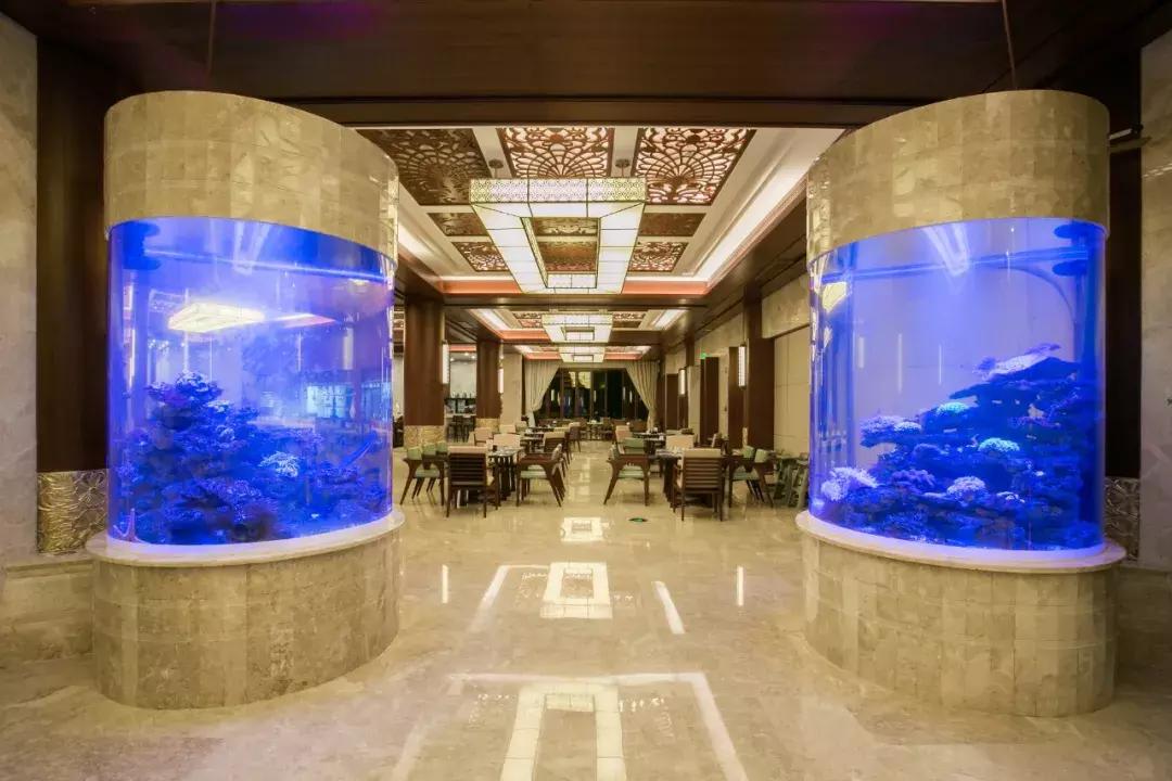 三亚轻奢度假酒店,三亚十大最豪华的度假别墅