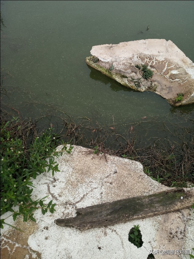 农作物的秸秆如何利用,秸秆要如何科学的处理