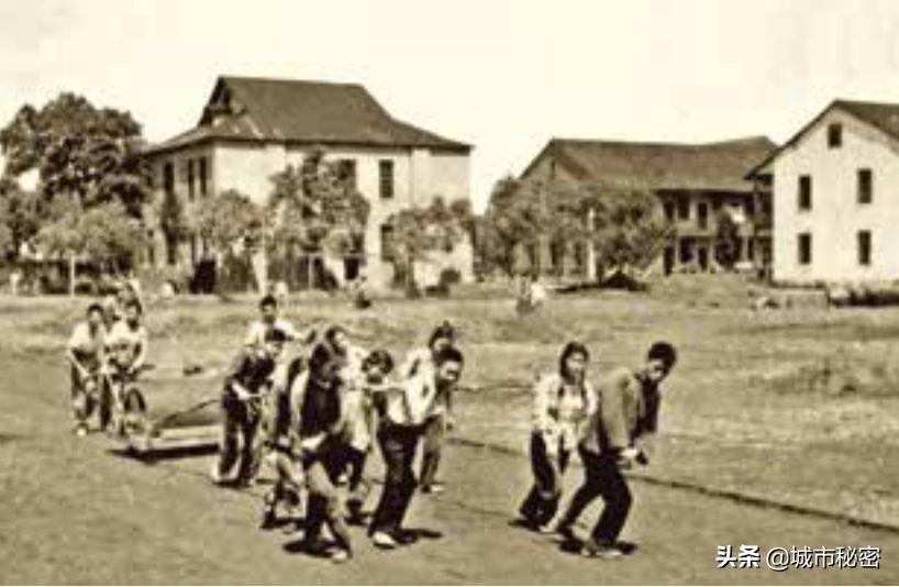 从学霸到赌王再到上市公司老总,浙大化学系学霸到服装公司上市