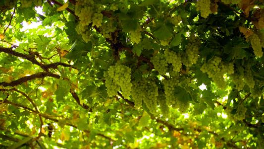 南疆和北疆怎么分的,新疆南疆和北疆哪个疆比较好些