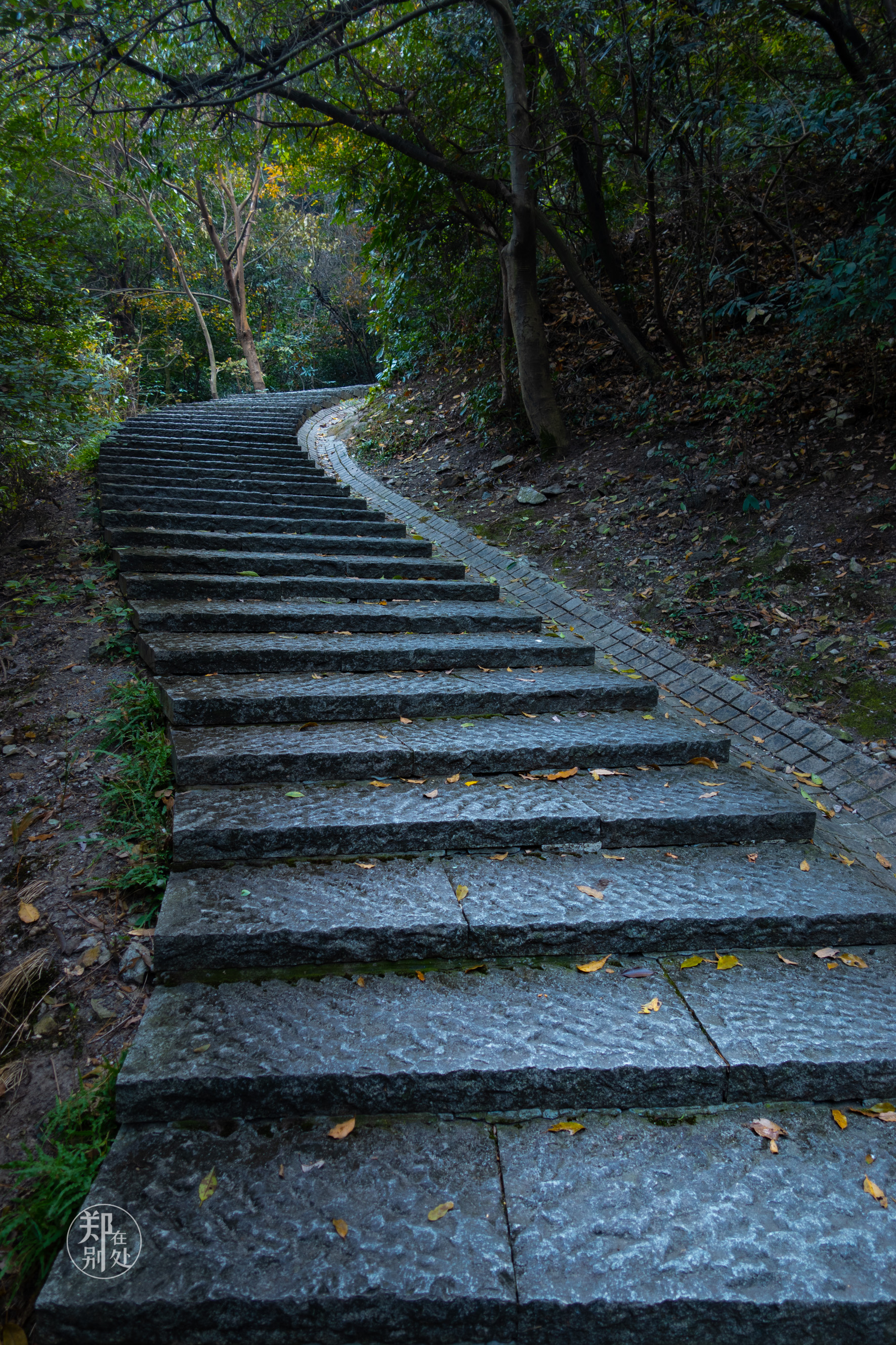 杭州登山徒步经典路线图最新,杭州登山路线