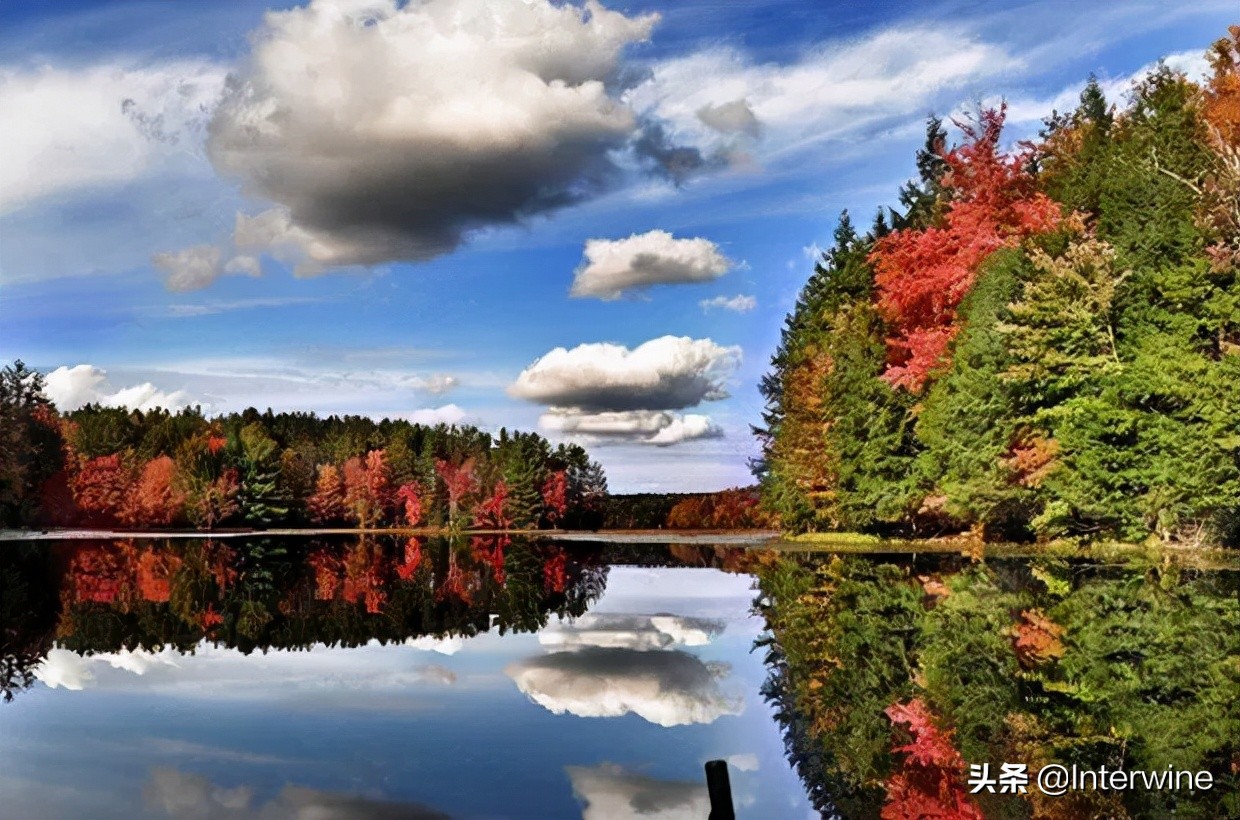 世界三大葡萄酒产区,世界上最有名的葡萄酒酿酒区