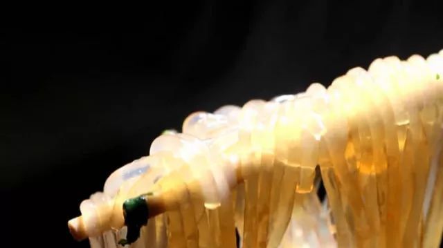 从城西跑到城东上班,从城西到城东穿越一座城