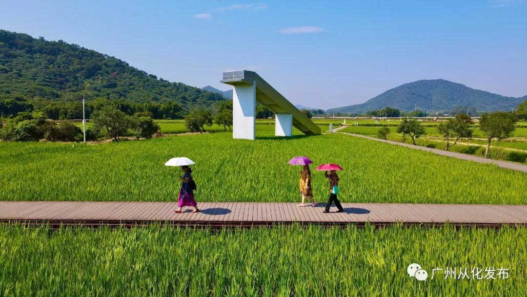 从化一日游攻略自由行最佳路线,从化元旦