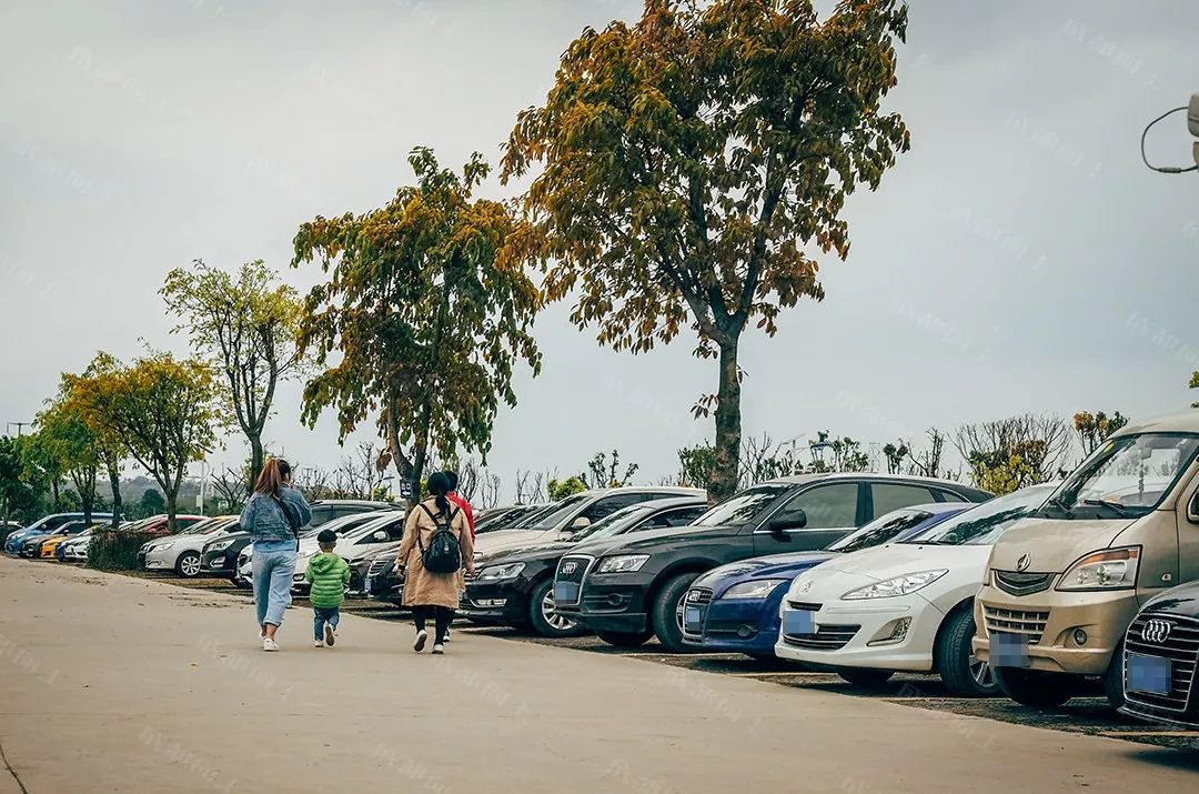 城北198：好与坏都让人“惊叹”