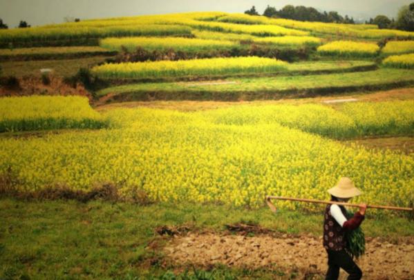 土地承包证一亩地可以贷多少钱,土地证可以贷款吗一般可以贷多少