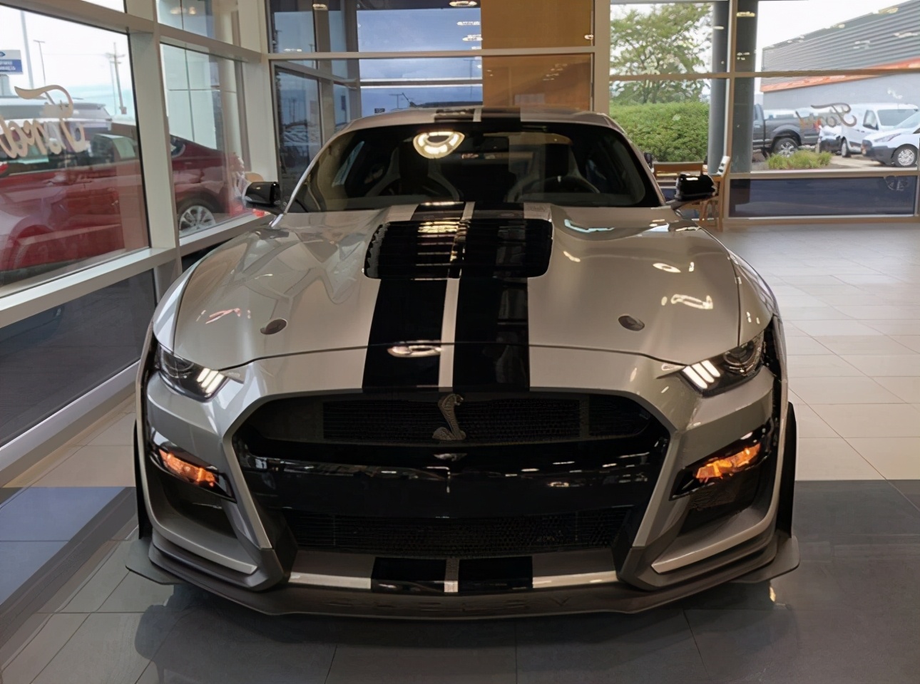 福特野马蝰蛇标志,野马眼镜蛇谢尔比声浪