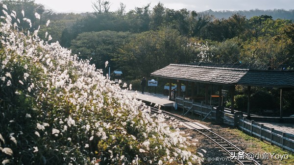 济州岛最值得去的地方,来济州岛第一天去哪玩