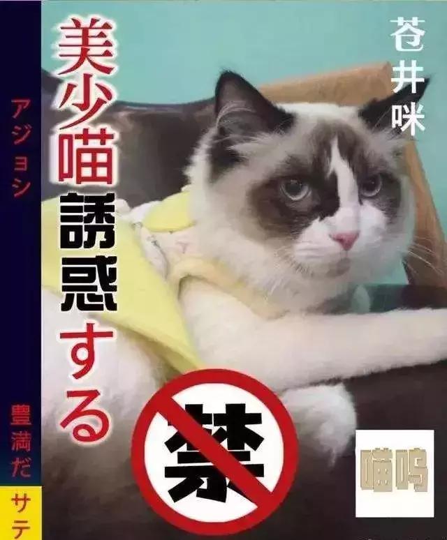 一爪踩在了“萌文化”的命脉上，俘获了老夫的少女心