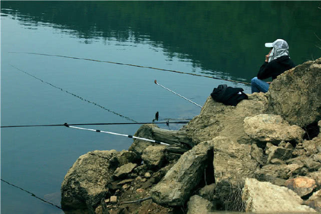 钓鱼最佳时间和细节,钓鱼越来越离不开这5种东西
