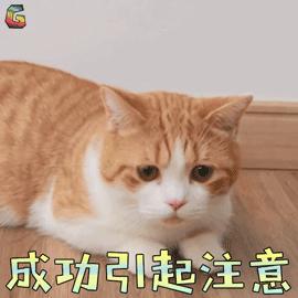 ​“肛”湖问道|几个小穴位，让你护肛有道