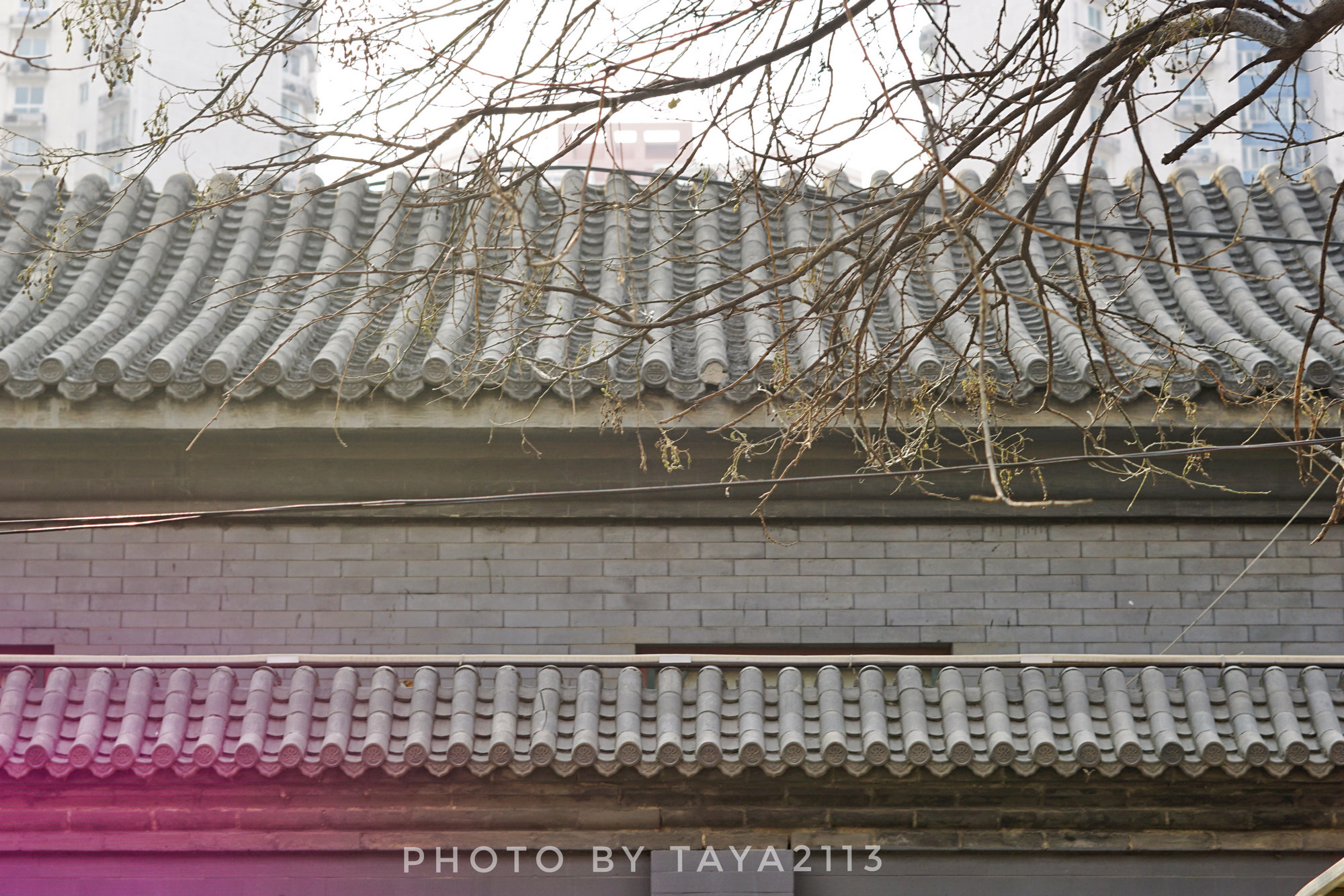 北京朝阳:你是这样的潘家园,闻名已久却让人失望——妞儿嬉游记