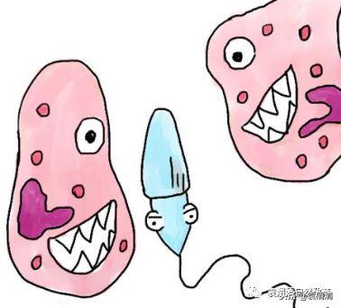 精子死亡怎么治疗调理,精子全部死亡怎么治疗