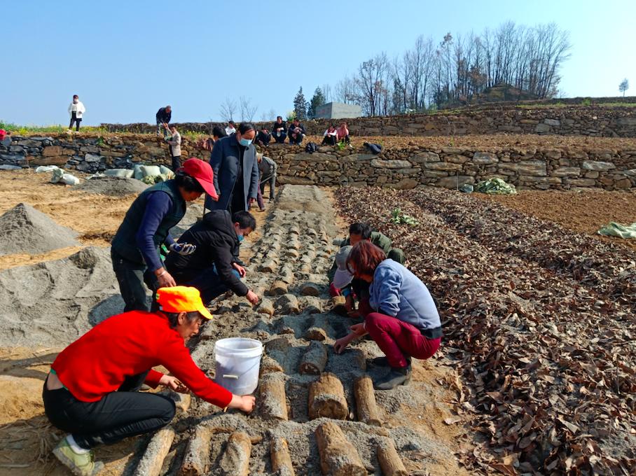战疫雷锋视频,活雷锋在疫情中的图片