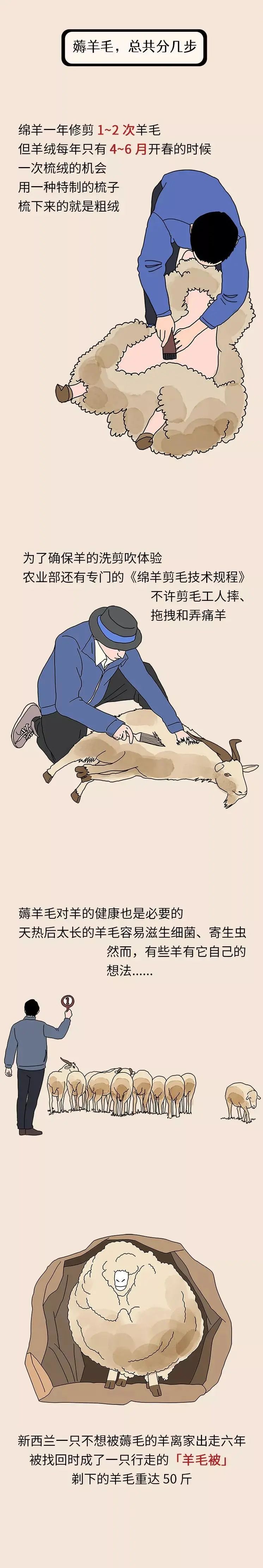 买羊绒大衣买哪个产地的好,羊绒大衣怎么买便宜质量又好