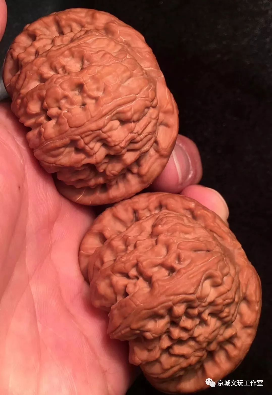 文玩核桃都是哪个地方的,你知道核桃原本是什么样的吗