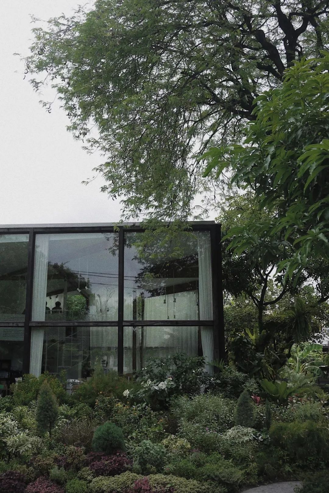 泰国自由行攻略详细版 (泰国自由行攻略最详细价格)