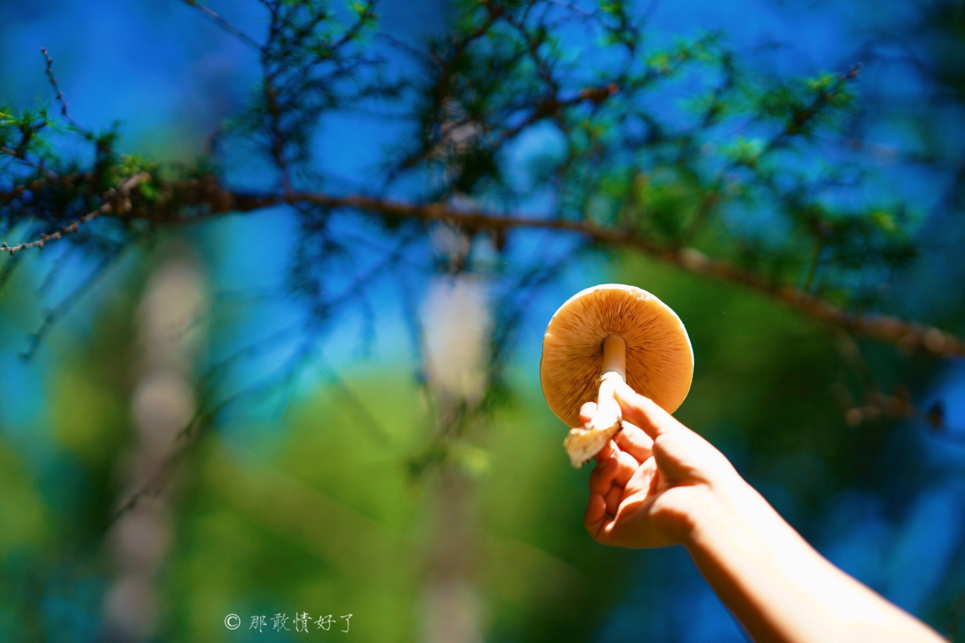 北京北部看红叶自驾线路推荐,冬季京西自驾游最佳线路