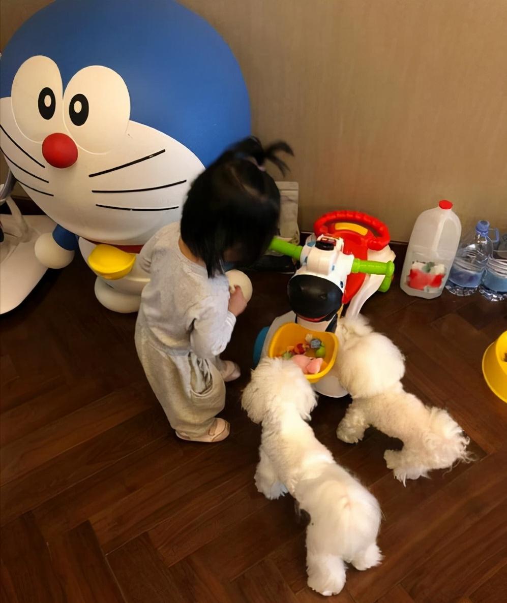 陈赫为什么那么有钱,陈赫靠副业总资产破千亿