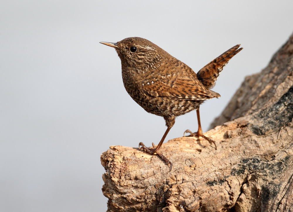 打破男女的刻板印象,打破男女固有形象