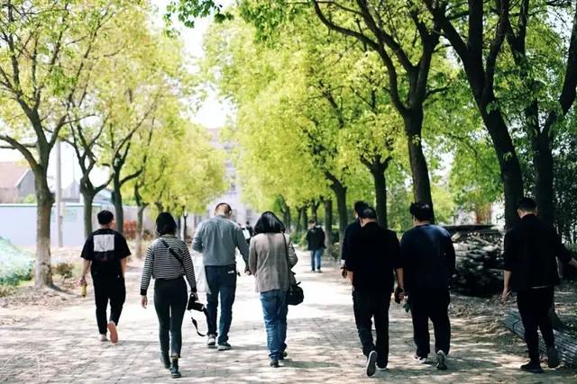 女怕夫弟男怕妻妹什么意思,老话男怕属鸡女怕属羊有什么讲究