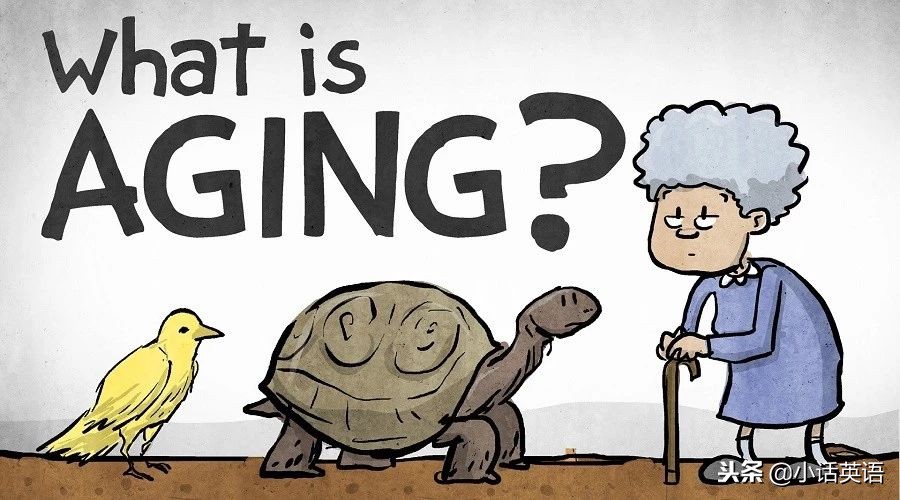 为什么一定要学英语？看看学英语的这11大好处！