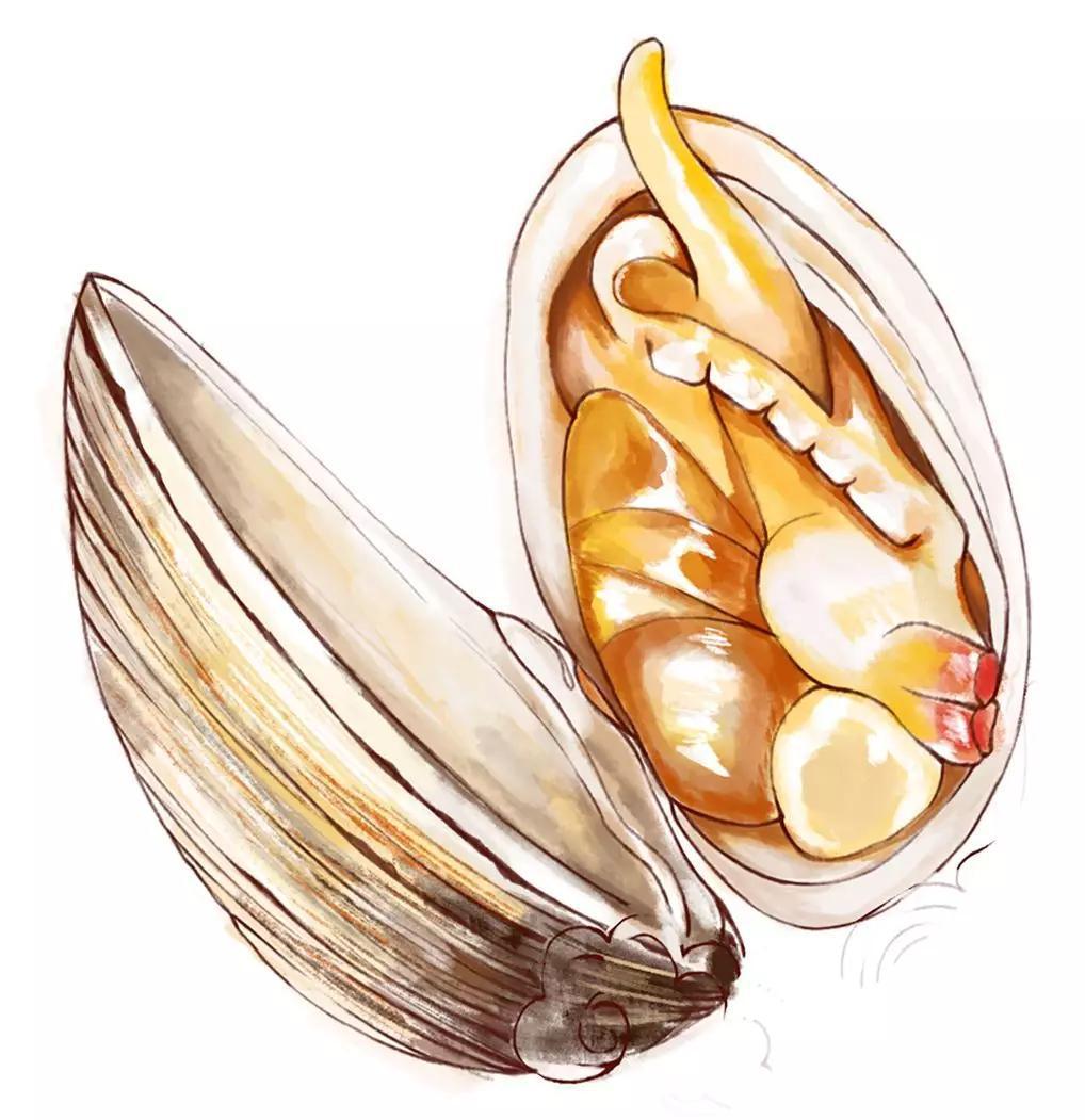 虎门新湾鸡煲,虎门新湾十大老字号美食