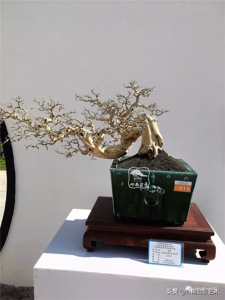 骞哥涔呬箙鐢滅敎铚滆湝,骞哥涔呬箙