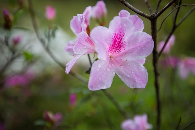 中国出国旅游英语,国内出国旅游英语