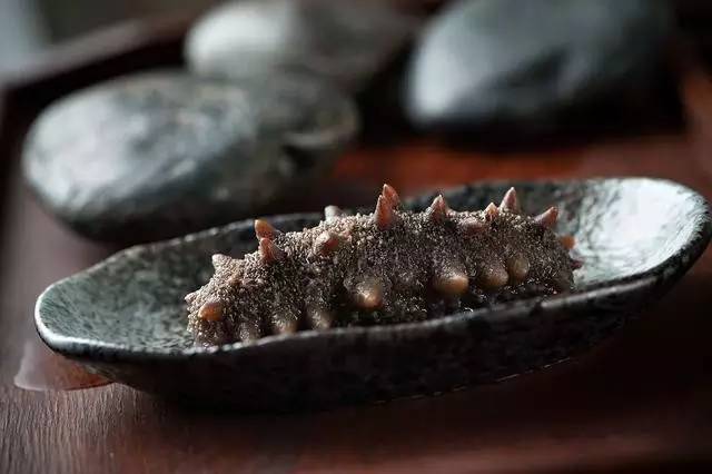 最全面的海参泡发方法太实用了,泡发海参煮还是蒸方法大全