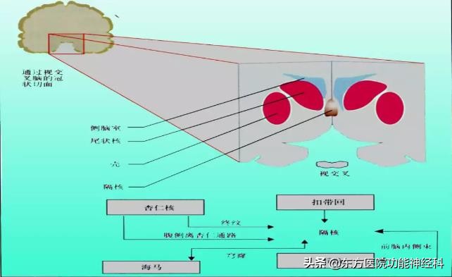 精神病人的前世,精神科药物的前世今生
