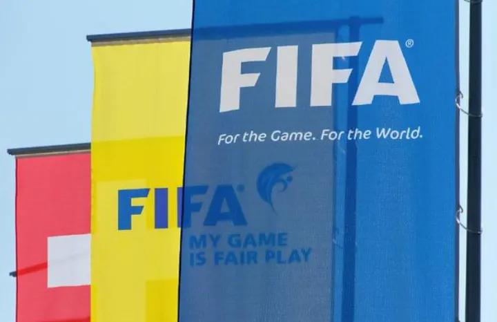 国际足联最新决定,国际足联欲将世界杯改两年一办