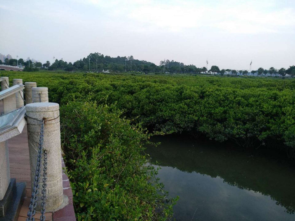 去防城港买房子好吗,去防城港买房