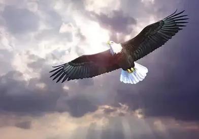 底层人物如何成功逆袭，必须突破自我，涅槃重生的“六*法大**宝”