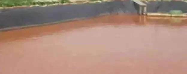 塘中的铁锈水是怎么回事,铁锈水的解决方法