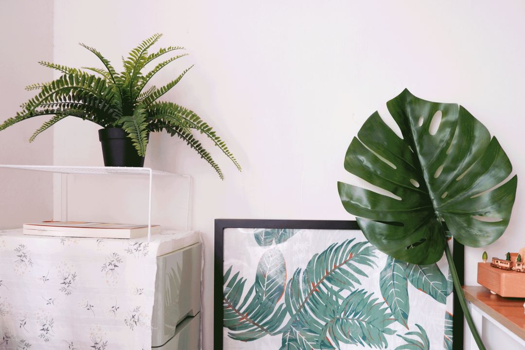 什么桌布好用又实用,手把手教你选择桌布