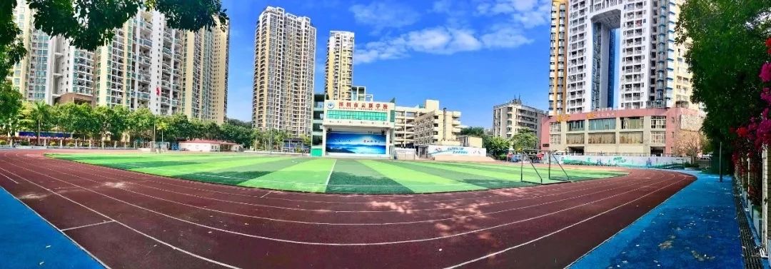 除了牛剑还有哪个学院,深国交深圳热门国际学校