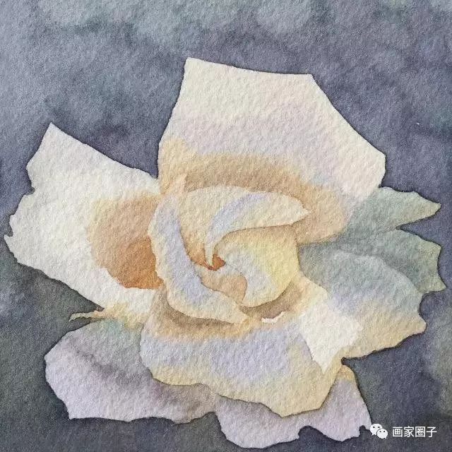 100种漂亮花卉图片,100张漂亮花图