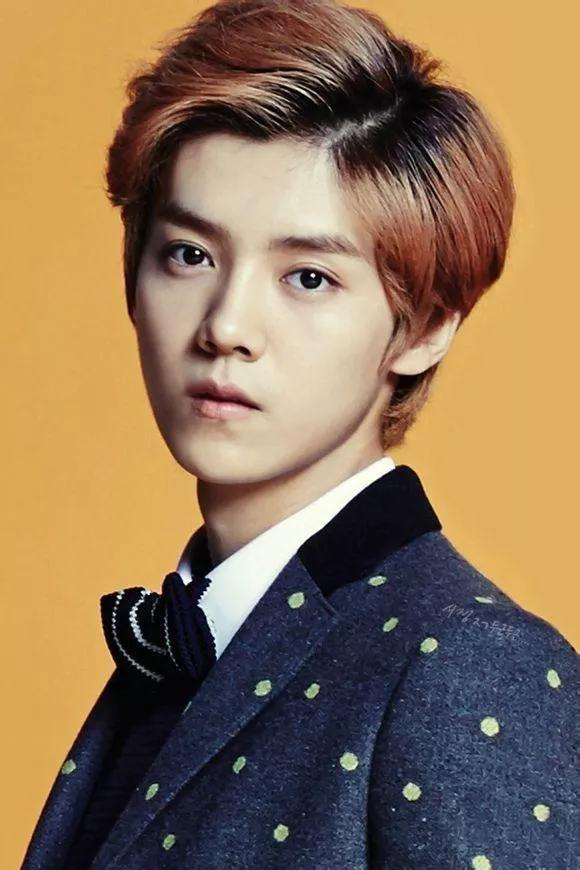 歌手鹿晗音乐作品,鹿晗是演员还是歌手