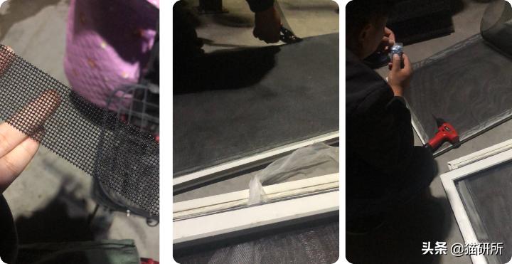 高层养猫到底要不要封窗,封窗养猫