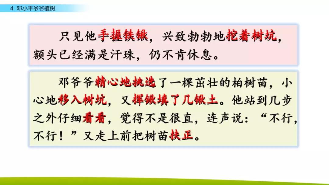 部编版二年级下册语文第4课《*小平邓**爷爷植树》知识点+图文讲解